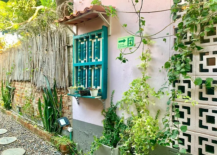 Hostel Musa Paradisiaca